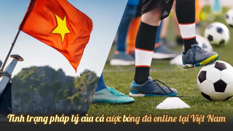 Tình trạng pháp lý của cá cược bóng đá online tại Việt Nam